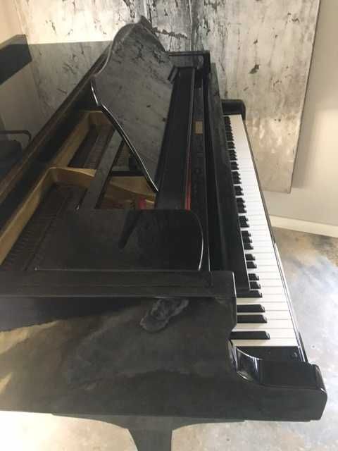 Piano cauda YAMAHA C3