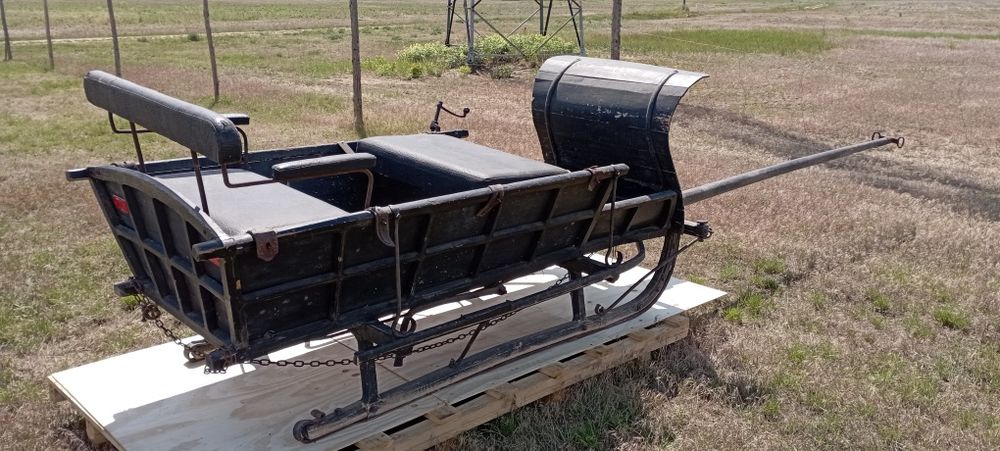 Sanie konne 100 letnie