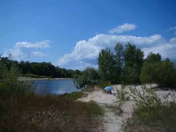 Оренда котеджу в шикарному місці на Десні подобово!!!