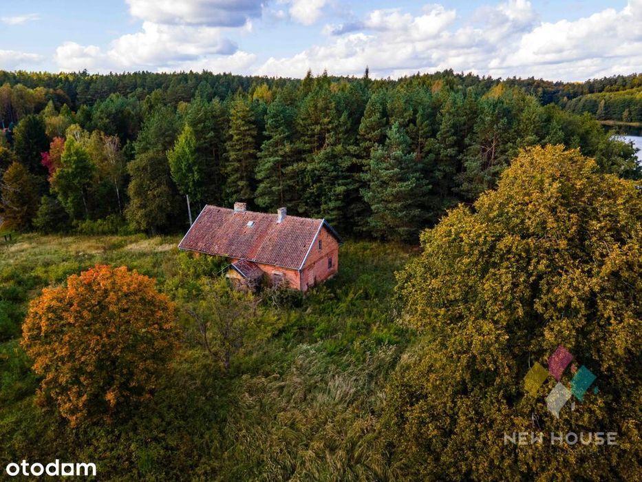 Dłużki, siedlisko nad jez. Dłużek