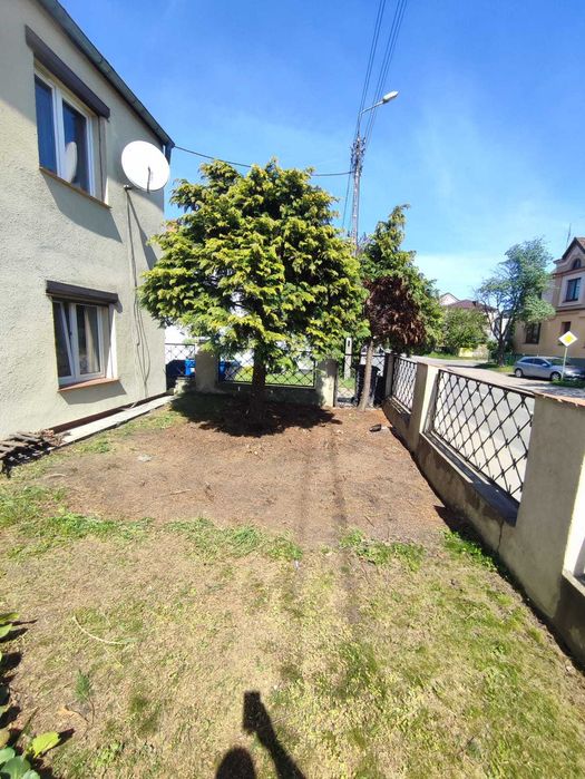 WYCINKA DRZEW • prace pielęgnacyjne