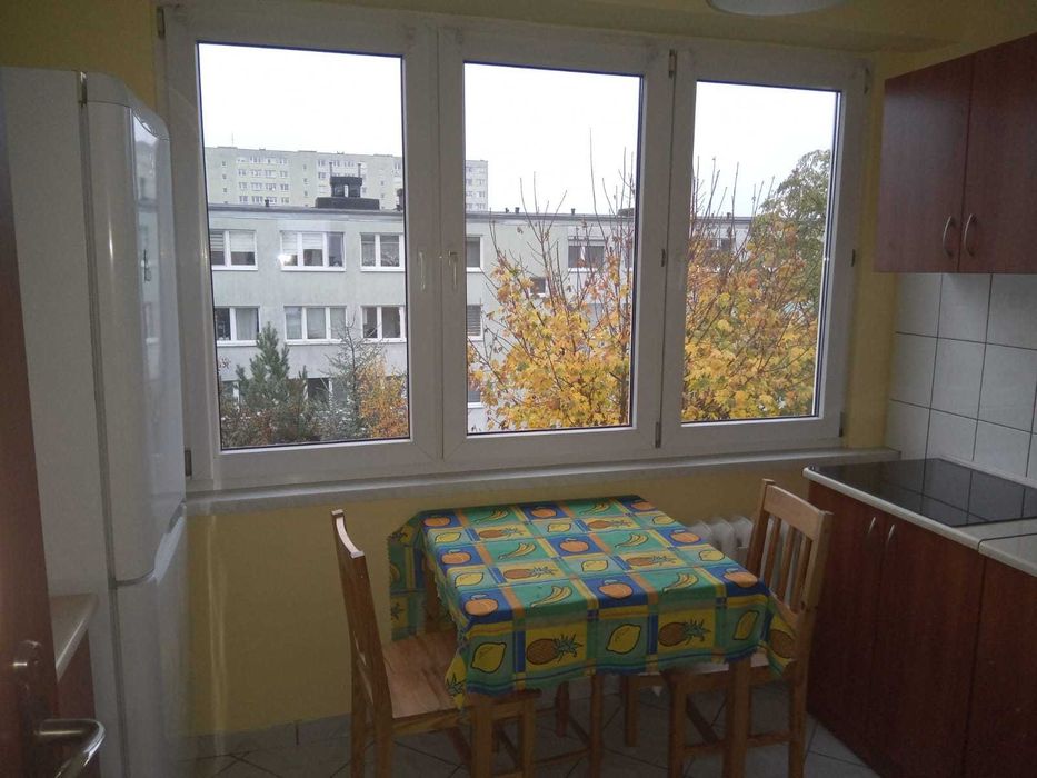 Mieszkanie – Toruń - Widok 2