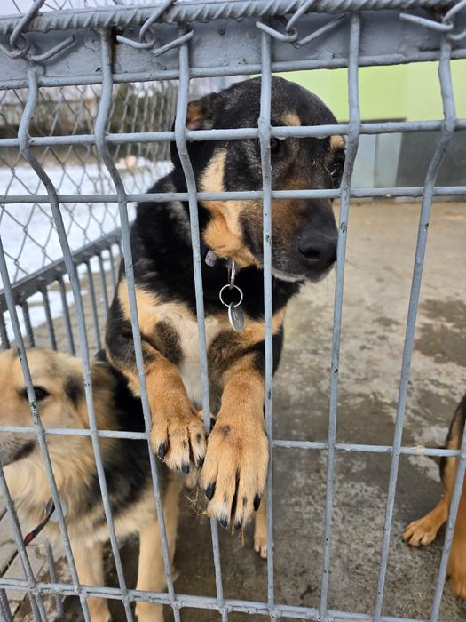 Maluchy zamarzają! Uratuj je z lodowatego betonu. Domy tymczasowe!