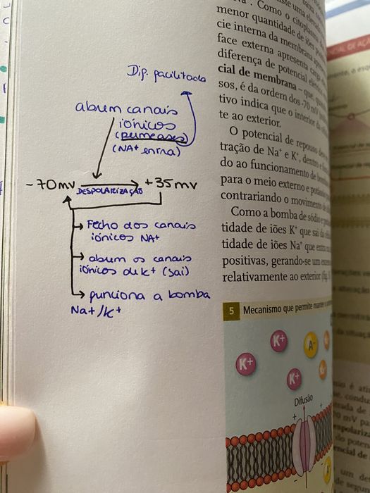 Manuais geologia 10 + biologia 10