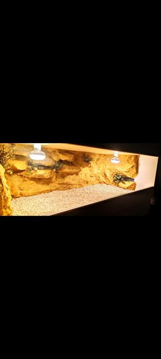 Okazja terrarium dla agamy gekona żółwia węża kameleona legwana 120x60x60