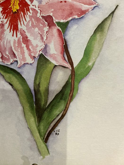 Pintura watercolor 46x34 cm. ANUCIOS anúncios abaixo