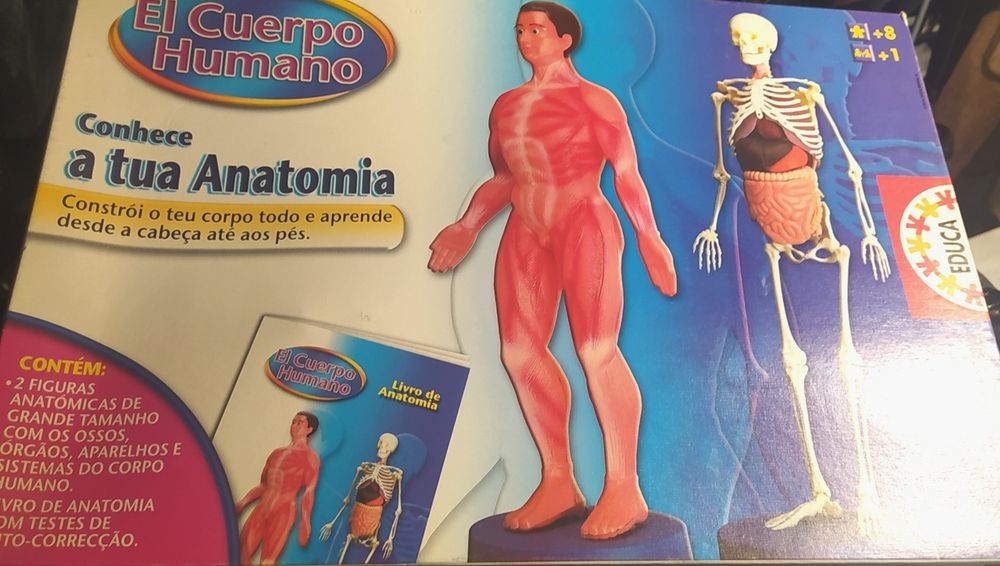 Human Body Games435522376870154242