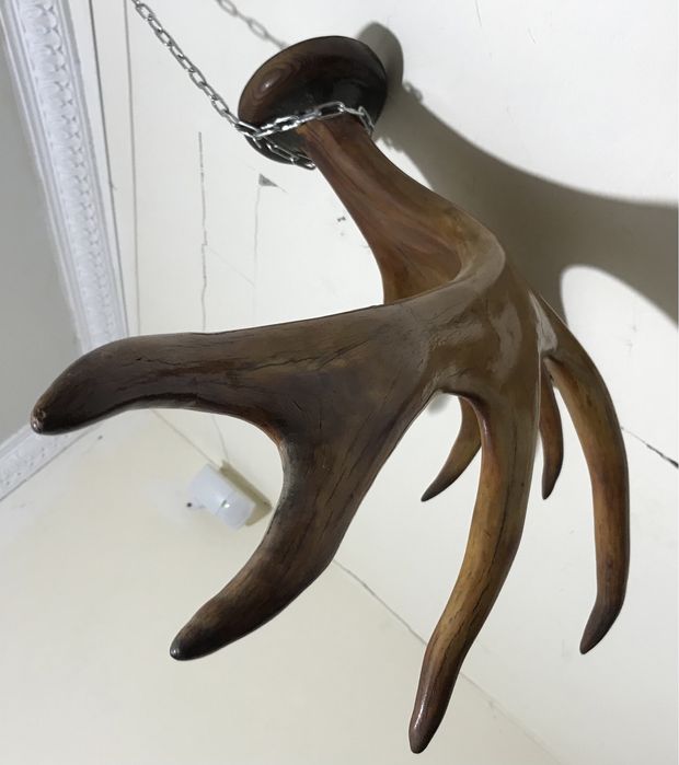 Продам рога різні на вибір