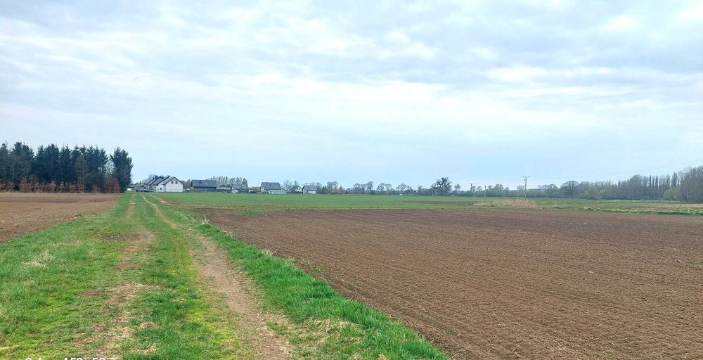 Działka budowlana 1500 m² - Widok 4