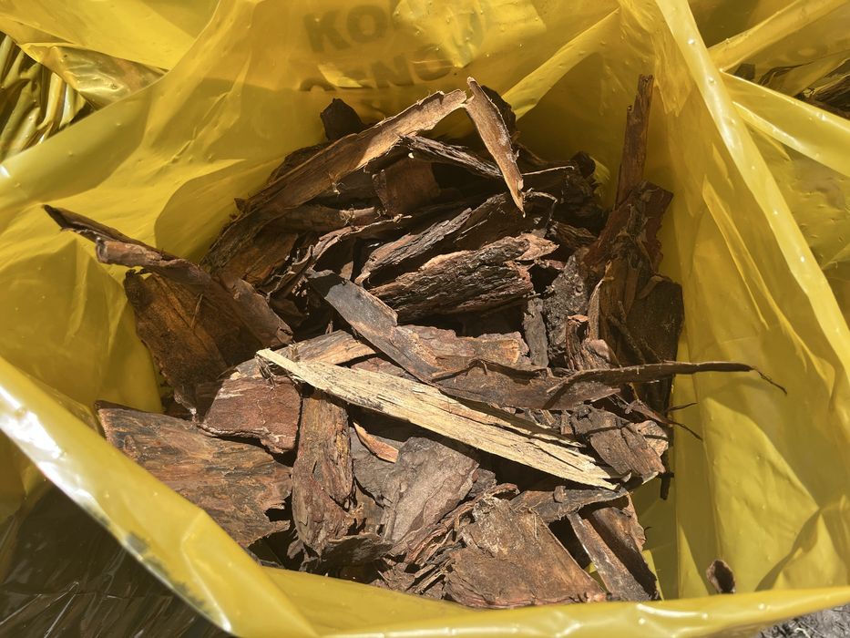 Kora sosnowa sortowana