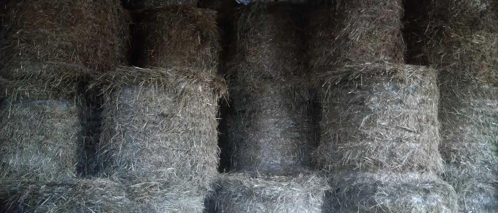 Słoma Siano Sianokiszonka cena do uzgodnienia