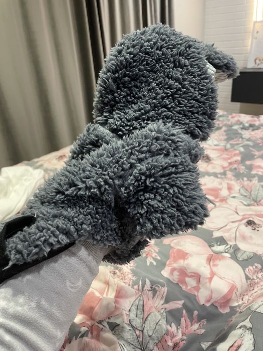 Одежда для собак