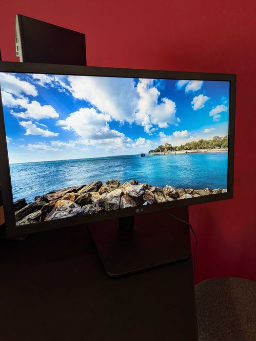 Monitor LG 22MP410-B