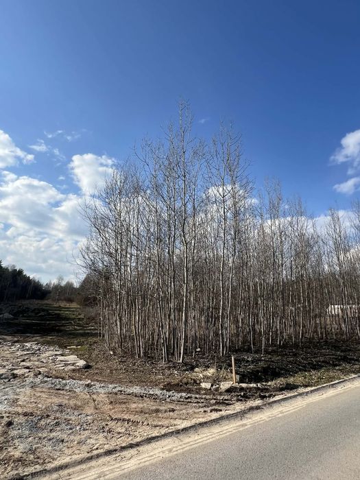 Działka budowlana– Masłów Pierwszy – spokojna okolica - Widok 4