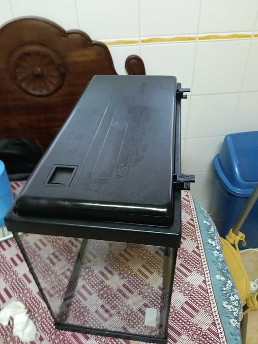 Aquário com 50 litros como novo