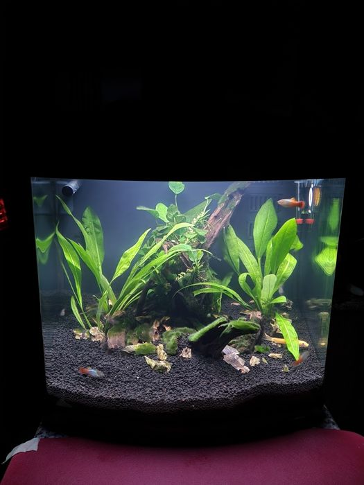 Aquário Sera Biotop 60