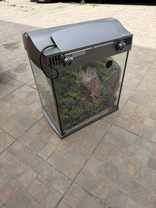 Aquario