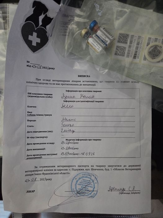 «Цуценята метиси вівчарки безкоштовно в добрі руки
