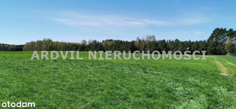 Ładna, kształtna działka z warunkami