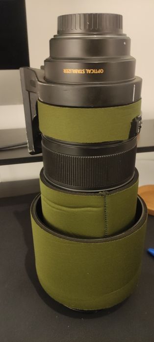 Sigma 120-300mm f/2.8 EX DG HSM