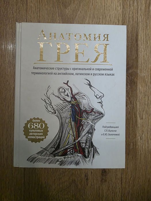Анатомія Грея Атлас з анатомії Грея