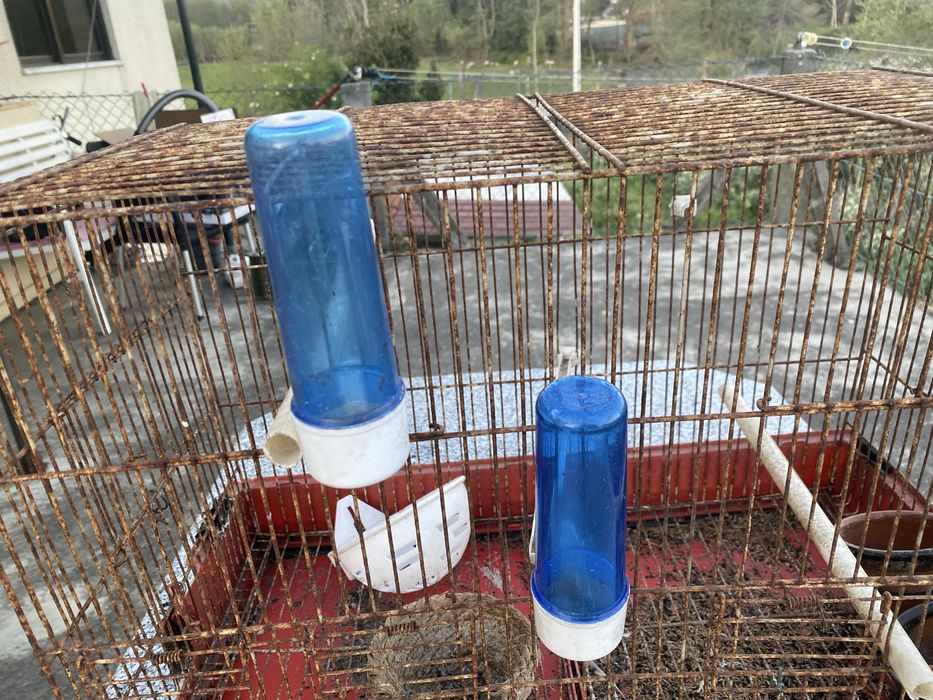 Gaiola para passaros muito usada, com comedouros e bebedouros