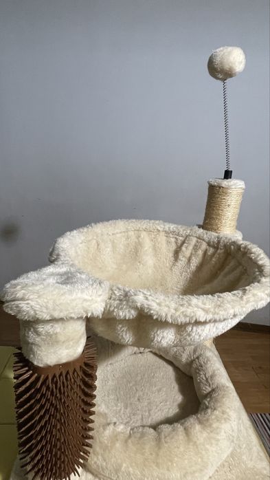 bebedouro e cama para gato