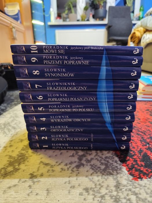 Akademia Języka Polskiego PWN