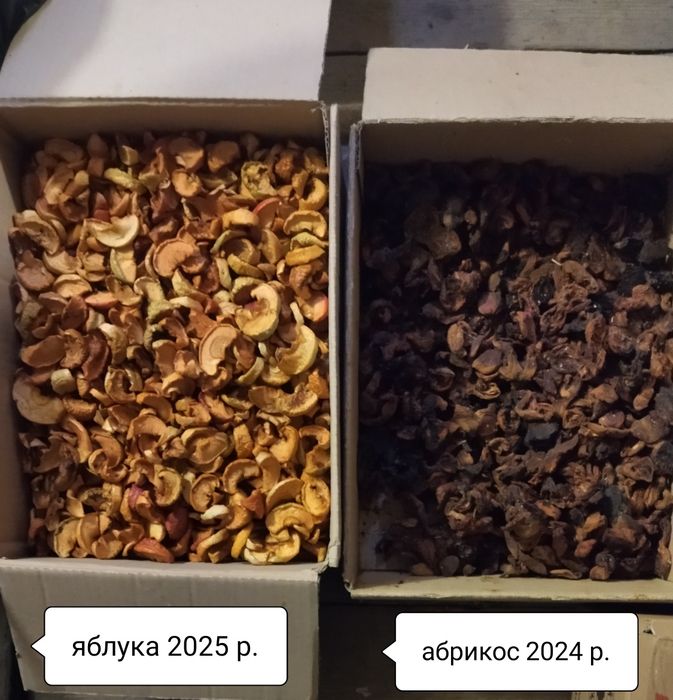 Продам бідон меду 2023 року