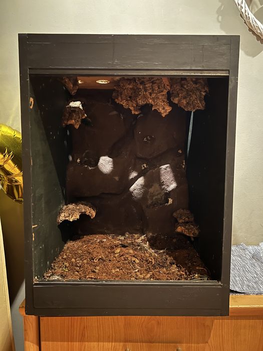 Terrarium 45x45x60 Gliwice Kopernika • OLX.pl