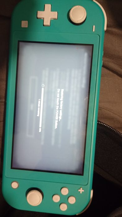 Switch lite banida