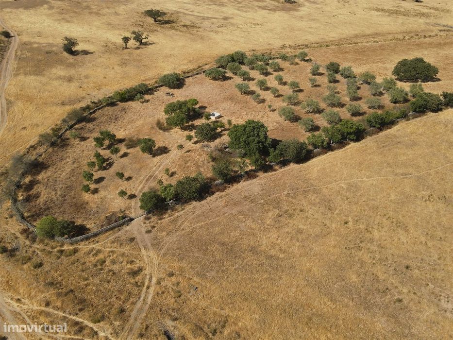 Terreno Rústico  Venda em Santa Cruz,Almodôvar