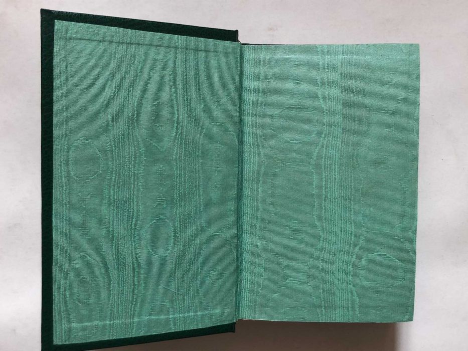 The Metaphysical Institutions of António Genuense64752394324993121