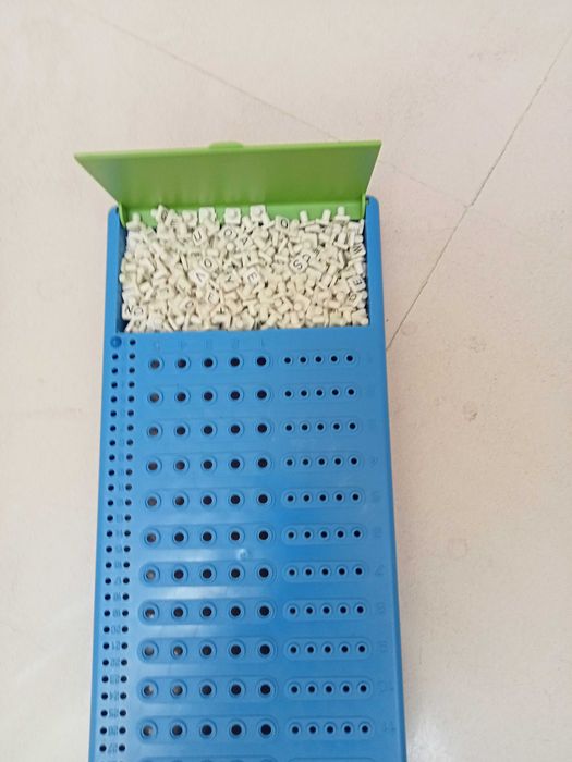 Master Mind letras Imaginarium