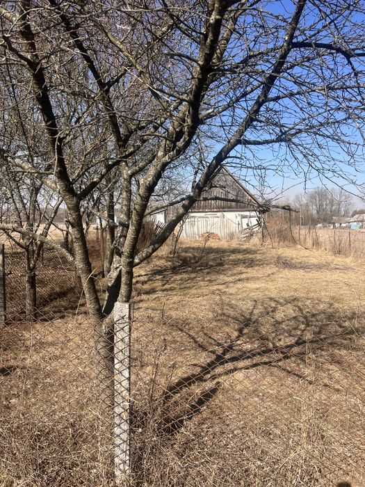 Земельна ділянка в с. Дубовець з призначенням під будівництво