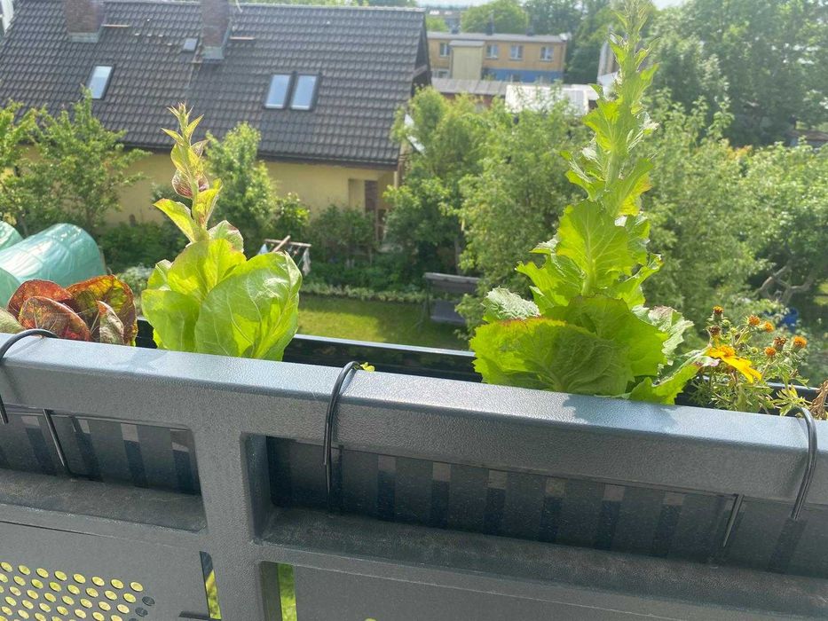 Apartament na dobę do wynajęcia