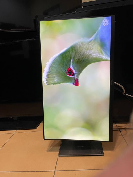 Монітор Dell P2419HC
