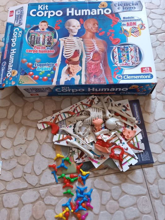 Kit Corpo Humano