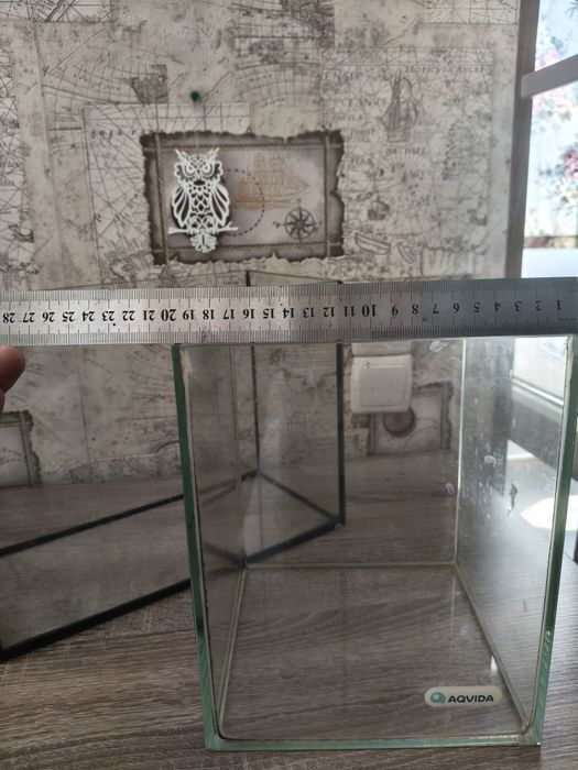 Маленькі акваріуми.