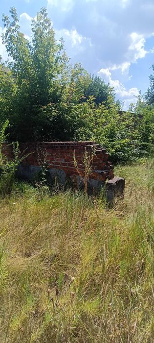 Будівля під магазин