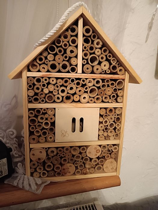 Nowy drewniany domek dla owadów