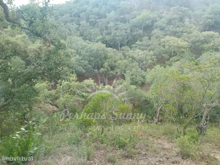 Terreno São Francisco da Serra
