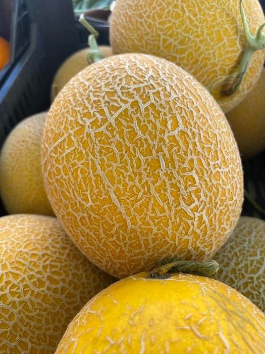 Caixas de meloas deliciosas para entregas