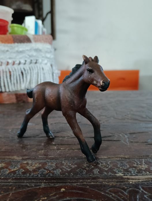 Conjunto Schleich 1