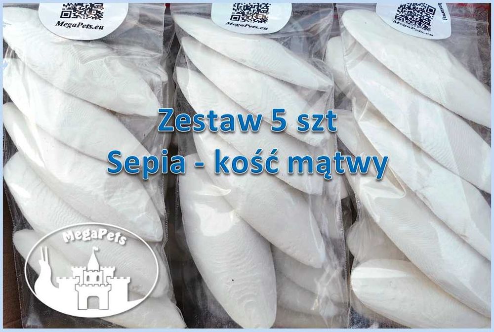 Sepia - kość mątwy Zestaw 5 szt / Ślimaki Papugi dla ptaków żółwie