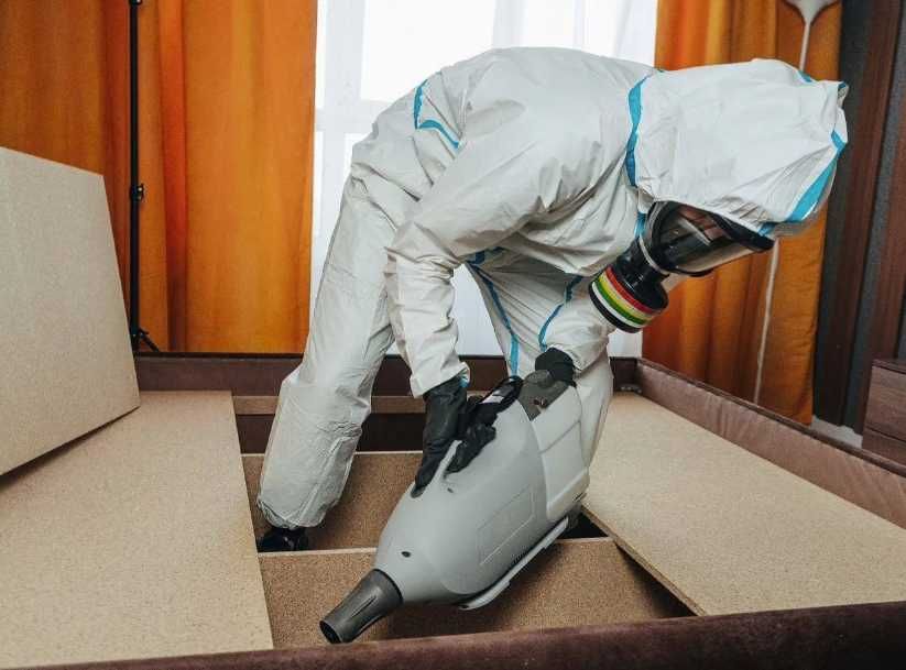 Дезінфекція, дезінсекція, дератизація від клопів та комах без запаху