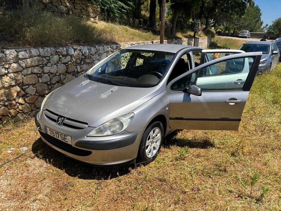 Pegeout 307 gasolina