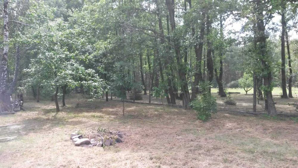 Гостьовий домік на дачі біля лісу подобово , баня на дровах