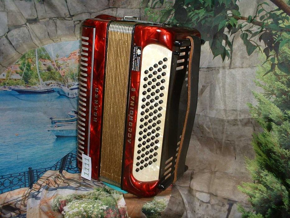 Acordeão Avenda R, .1111