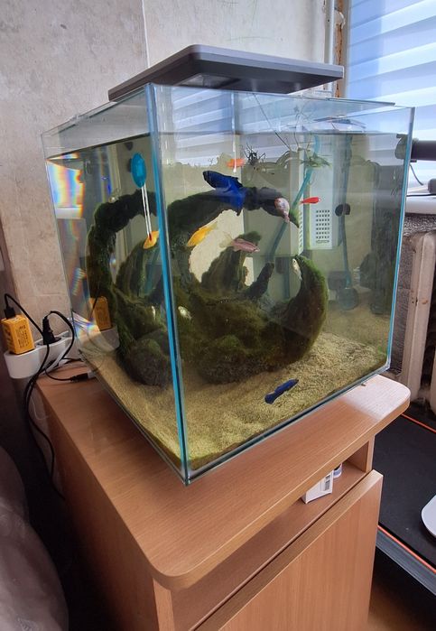 Продам красивий акваріум 30л з рибками та обладнанням!